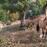 Bed & Breakfast Les Demeures De Valette 4*