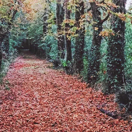 Les Demeures De Valette Panzió Azay-le-Brûlé