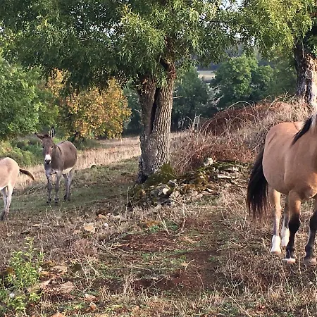 Bed & Breakfast Les Demeures De Valette *