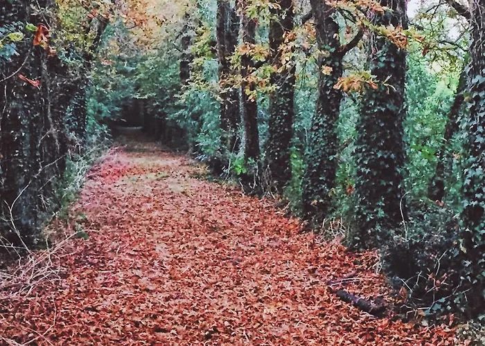 Les Demeures De Valette فندق مبيت وإفطار Azay-le-Brule