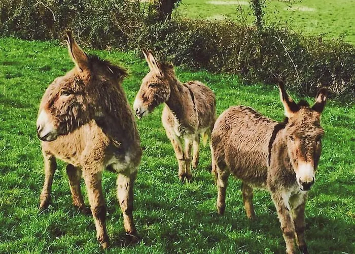 Les Demeures De Valette