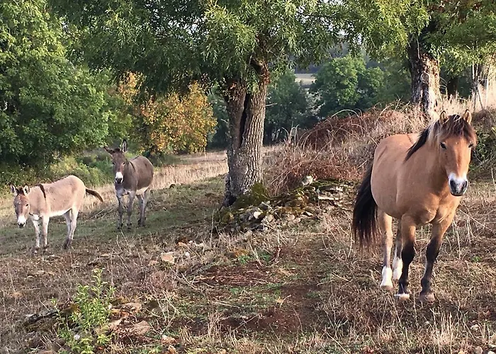 فندق مبيت وإفطار Les Demeures De Valette 4*